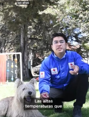 Banner Header